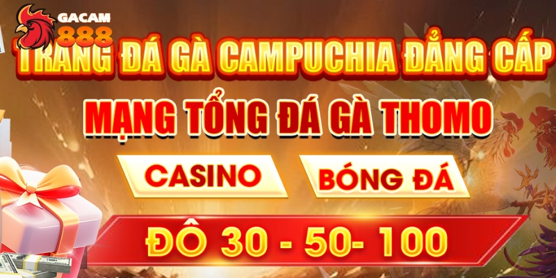 Giới thiệu đôi nét về nhà cái đá gà Gacam888